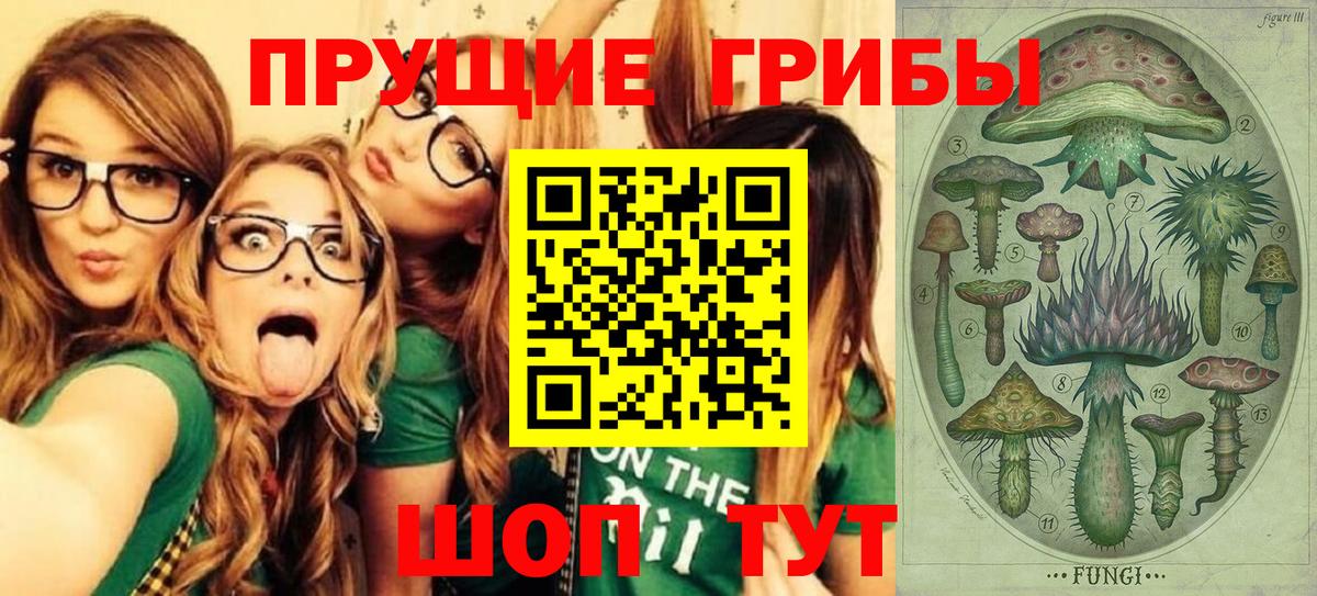 Галлюциногенные грибы Cubensis  Псилоцибиновые грибы прущие грибы  Александров  Вход с VPN 